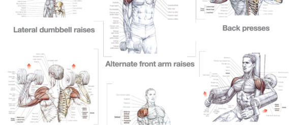 ABS AND SHOULDERS WORKOUT EXAMPLES