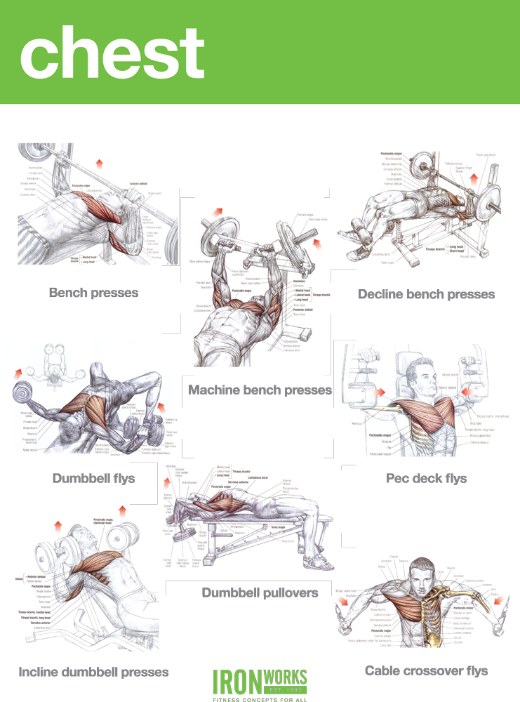 TRICEPS AND CHEST WORKOUT EXAMPLES