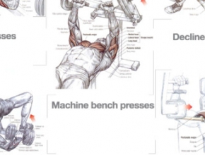 TRICEPS AND CHEST WORKOUT EXAMPLES