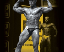 Martin Holt